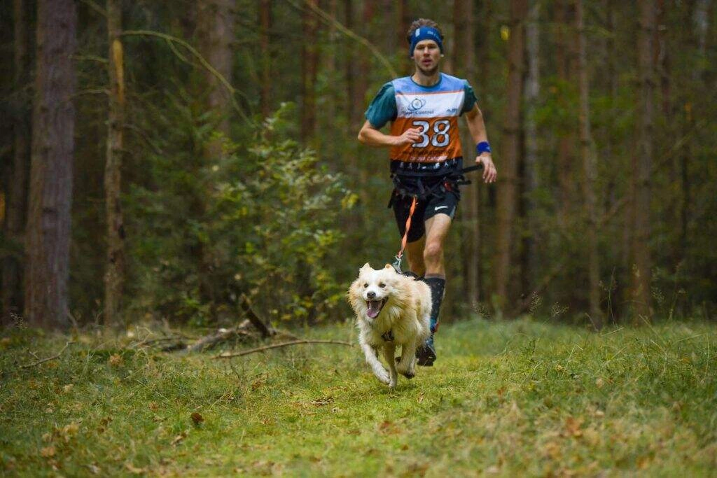 equipement de canicross- dog seconde main sur boosted7